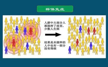 免疫科工作总结模板7篇