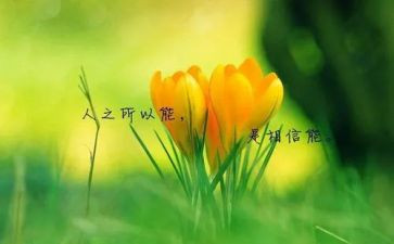 我名人作文优质5篇