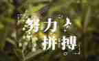 读名人故事的读后感通用6篇