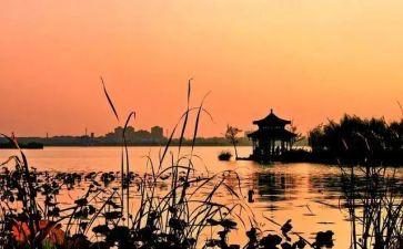 南湖公园的心得体会6篇