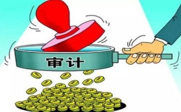 内审工作个人总结6篇