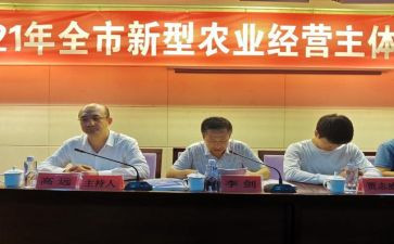 镇农办工作总结6篇