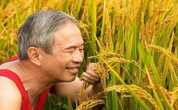 农夫和河的读后感推荐8篇