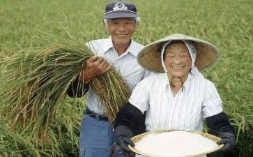 对农民的调查报告范文6篇