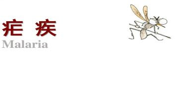 2024疟疾宣传总结8篇