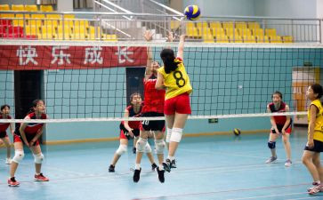 中国女排先进事迹6篇