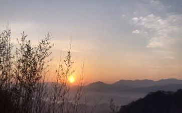 盼春节作文500字作文6篇