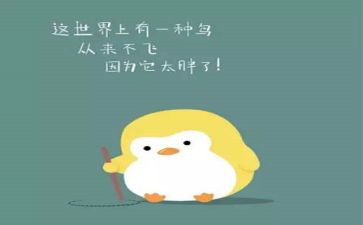胖作文500字推荐5篇
