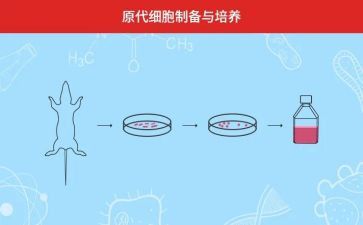 人才培养及工作计划8篇