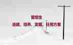 培养期思想汇报7篇