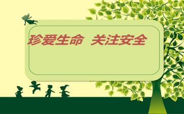 平安杯活动方案优质5篇