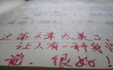 评语文高级教师的述职报告5篇