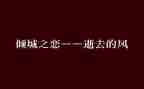 倾城之恋的读后感5篇