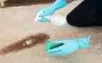 清洁工作月总结模板7篇