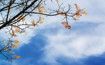 写秋天作文400字精选5篇