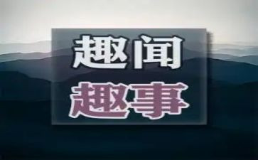 暑假趣事的作文优质7篇