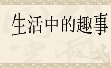 暑假趣事的作文模板5篇