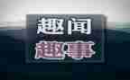 暑假趣事的作文优质7篇