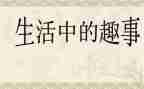暑假趣事的作文模板5篇