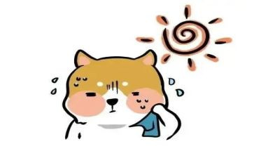 热爱祖国的心得体会7篇