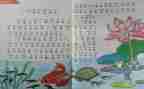幼儿园教师个人教研工作总结7篇