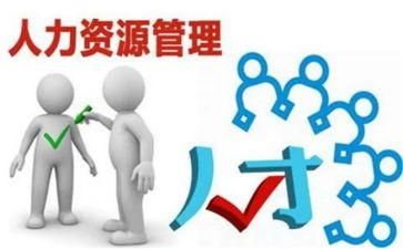 人力工作总结及2024年工作计划6篇