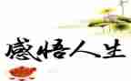 人生如…作文最新6篇