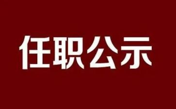 医师任职以来工作总结7篇