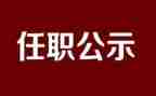 医师任职以来工作总结7篇