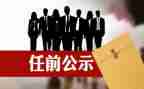 任职以来专业技术工作总结8篇