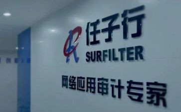 任子行调查报告6篇