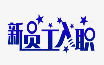 入职年终工作总结模板5篇