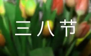 村三八妇女节活动方案最新7篇