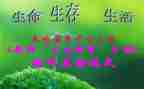 《初三生活》作文600字7篇