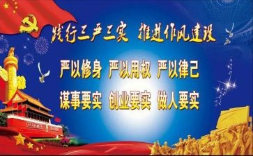 三严三实专题教育心得体会8篇