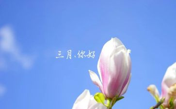 三月份月工作总结最新5篇