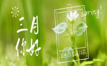三月活动方案8篇