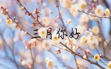 三月各活动总结7篇