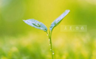 三月份幼儿园工作总结7篇