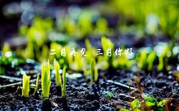 驾三月份工作总结通用8篇