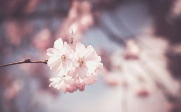 三月雷锋活动总结7篇