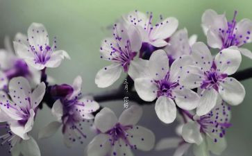 三月各活动总结最新5篇