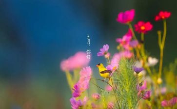 三月的学雷锋演讲稿6篇