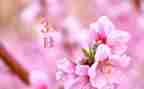 三月教师工作计划7篇