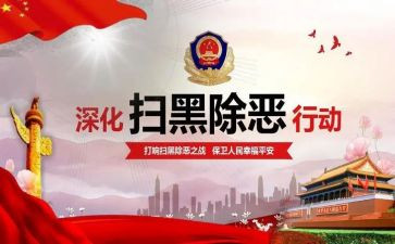 扫黑除恶专项活动总结6篇