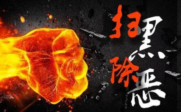 201扫黑除恶工作总结7篇