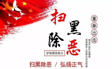 扫黑办工作计划6篇
