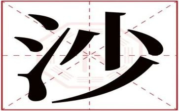 沙与沫读后感300字5篇