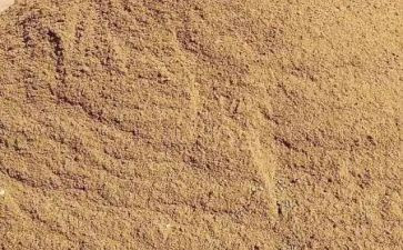 沙与沫读后感300字推荐5篇