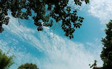 我在听的一首歌作文推荐7篇
